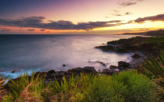 Sunset rocky beach water bushes - a few bush free wallpaper