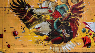 Eagle dog mural fire hydrant - public works mural free wallpaper