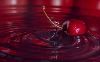 Cherry floating red liquid stem - a cherry free wallpaper