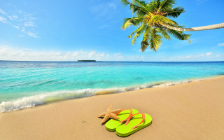 Flipflops beach starfish palm summer - a starfish free wallpaper