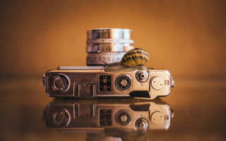Snail camera coins macro vehicle - a snail free wallpaper