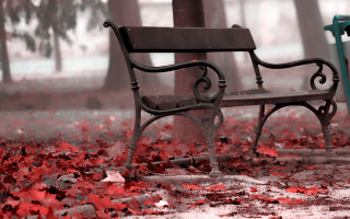 Autumn park bench red leaves - the ground and a tree in the background free wallpaper