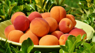 Peach bowl grass leaves outdoors - boetius adamsz bolswert free wallpaper for desktop