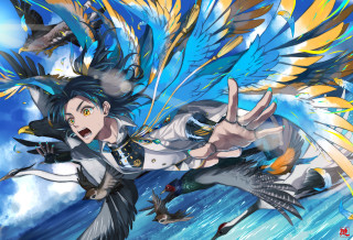 Woman flying bird hand bird - above her head free wallpaper