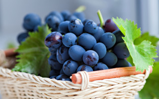Grapes basket green leaf stem - a table next free wallpaper
