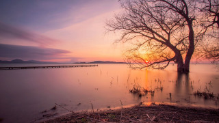 Tree water sunset bridge lake - sunset free wallpaper