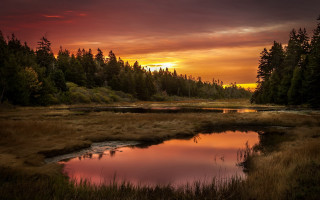 Sunset marsh pond trees clouds - beautiful free wallpaper for desktop