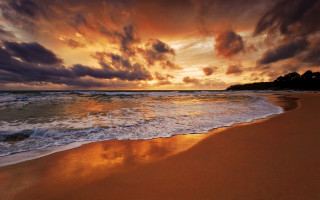 Beach waves sunset clouds trees 4 - wave free wallpaper