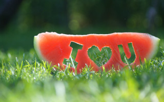 Watermelon love grass 3d render - the middle of it free wallpaper