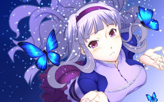 Girl white hair blue butterflies - eizan kikukawa free wallpaper