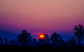 Sunset red yellow sky trees - a sunset free wallpaper