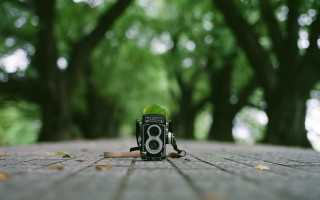 Camera brick surface trees leaf - lomography free wallpaper