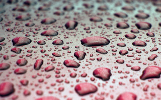 Red water drops macro photography - drop of water free wallpaper