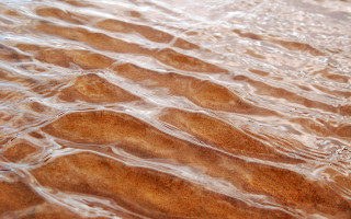 Water sand bird beach macro - water free wallpaper