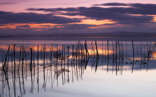 Lake sticks sunset purple sky - art free wallpaper