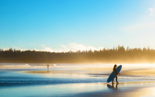 Beach surfboard trees sun girl - beach free wallpaper