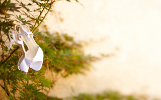 White shoes hanging tree leaves - white shoe free wallpaper