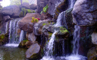 Waterfall rocks plants flowers cave - the rock free wallpaper