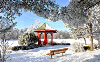 Snowy bench under tree gazebo - under free wallpaper