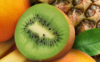 Kiwi sliced fruit leaves table - a green leaf free wallpaper