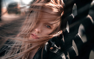 Girl long hair fence wind - the wind free wallpaper