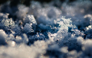 Snowflake macro night city lights - an gyeon free wallpaper for desktop
