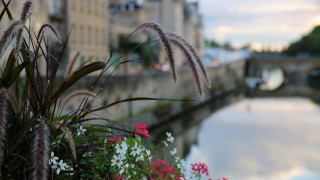 River flowers bridge building sky - a bridge in the background free wallpaper