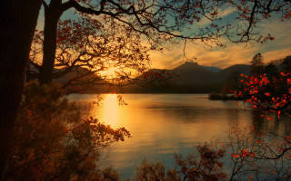 Autumn lake mountains tree sunset - a tree and mountains free wallpaper