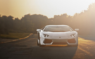 White sports car road trees 4 - the car free wallpaper