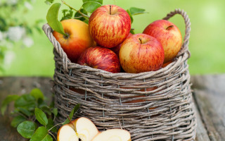 Basket apples leafy branch green - a basket of apples free wallpaper