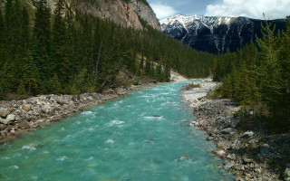 River forest mountains rocks sky - river free wallpaper