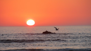Bird sunset ocean mountain water - over the water free wallpaper