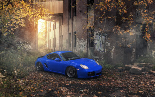 Blue sports car leafy graffiti - rich moody colour free wallpaper