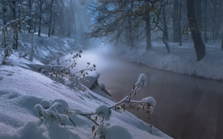 River snowy forest bare trees - a few branch free wallpaper