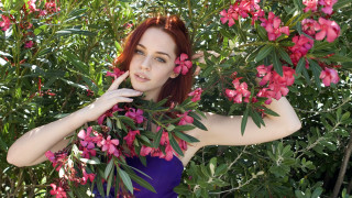 Purple dress woman bush pink - eve ryder free wallpaper