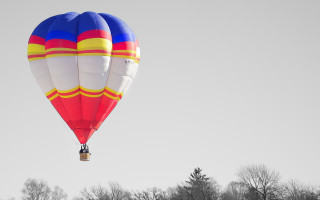 Large balloon gray sky trees - a gray sky free wallpaper