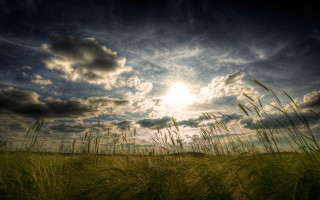 Field sunset horizon clouds grass - white cloud free wallpaper