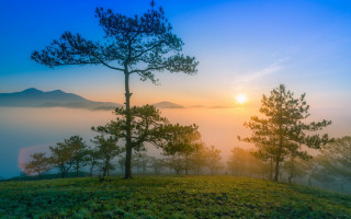 Sunrise mountain fog trees mist - edi rama free wallpaper
