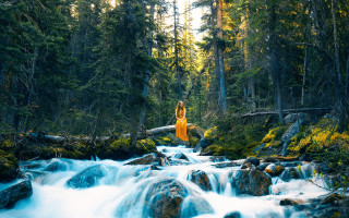 Woman yellow dress forest river - a yellow dress free wallpaper