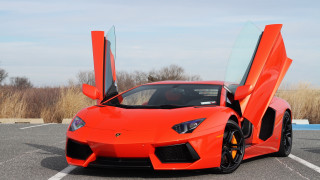 Bright orange sports car open 4 - grass and trees free wallpaper