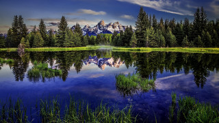 Mountain lake reflection trees grass 4 - beautiful landscape free wallpaper
