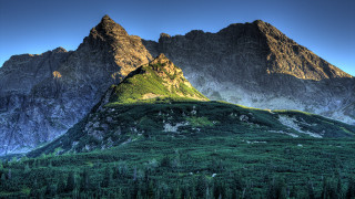 Mountain grassy field forest blue - auseklis ozol free wallpaper