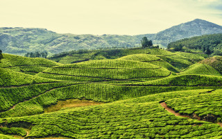 Lush hillside mountains tiltshift saturated - a lush green hillside free wallpaper