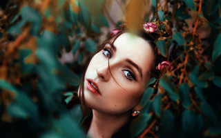 Woman blueeyes flowerbush portrait jewelry - elinor proby adams free wallpaper