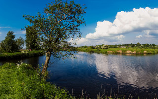 Tree grass water cloudy sky - environmental art free wallpaper for desktop