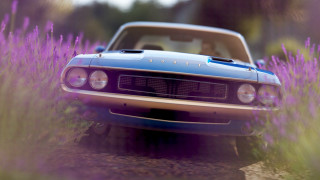 Car lavender field tiltshift photorealism - a field of lavender free wallpaper