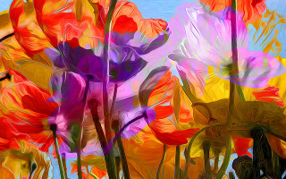 Impressionist flower field blue sky - blue sky in the background free wallpaper