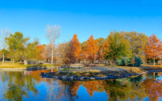 Pond autumn trees blue sky - a pond free wallpaper