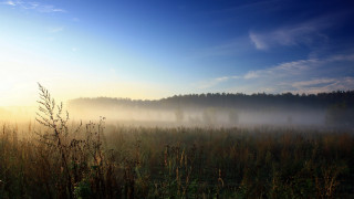 Foggy dawn forest lake mountains 2 - volumetric fog free wallpaper