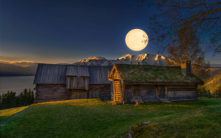 House green roof full moon - a green roof free wallpaper